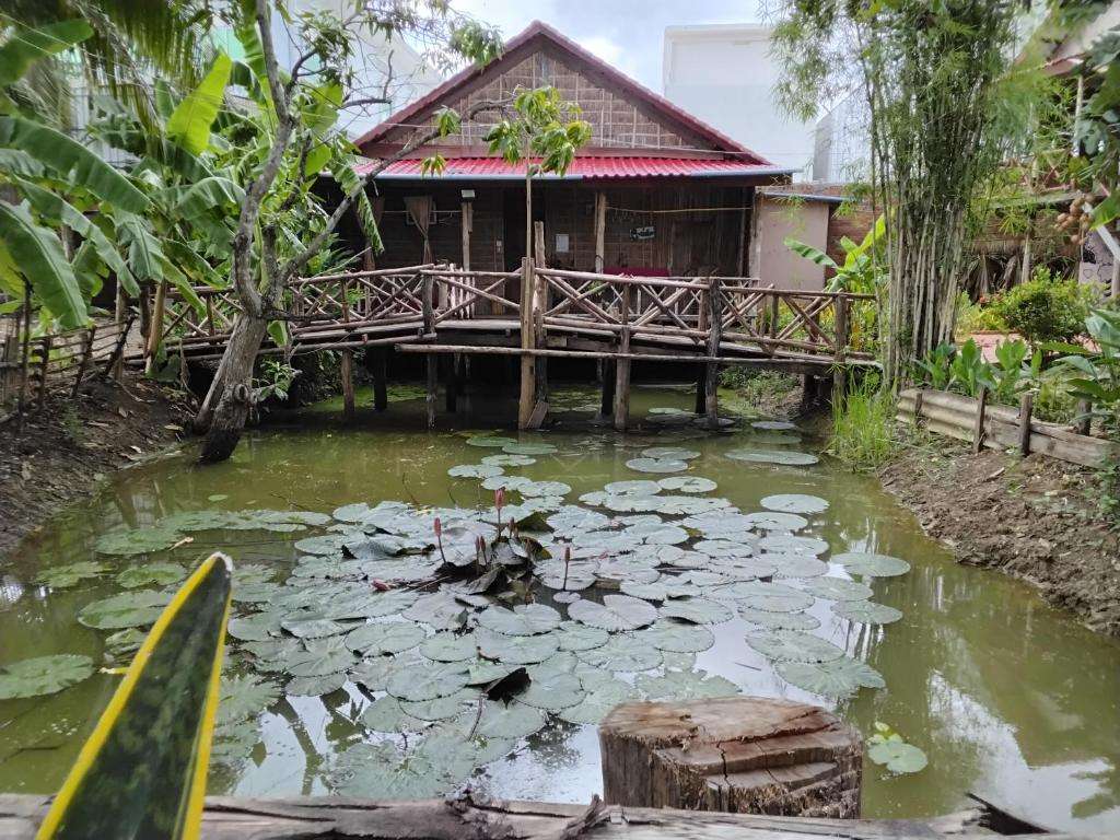 The lotus pond in Setha's garden